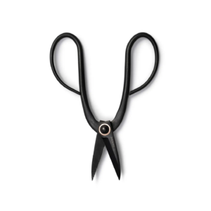 Barebones Artisan Pruning Shears