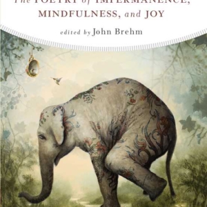 Poetry of Impermanence, Mindfulness, and Joy by