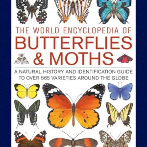 World Encyclopedia of Butterflies & Moths by Sally Morgan