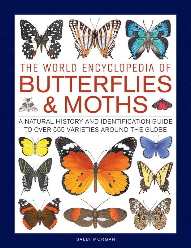 World Encyclopedia of Butterflies & Moths by Sally Morgan