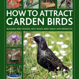 How to Attract Garden Birds by