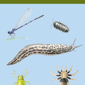 Bugs & Slugs by Todd Telander