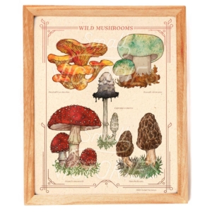 Wild Mushrooms Print