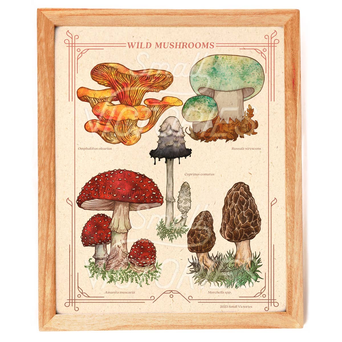 Wild Mushrooms Print