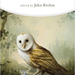 Poetry of Grief, Gratitude, and Reverence by John Brehm