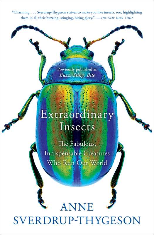 Extraordinary Insects by Anne Sverdrup-Thygeson