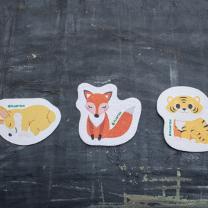 Set of 3 Barks and Roars Pop up Sponges