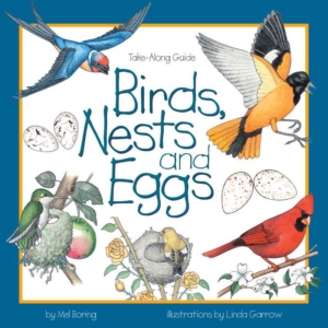 Birds, Nests & Eggs by Mel Boring
