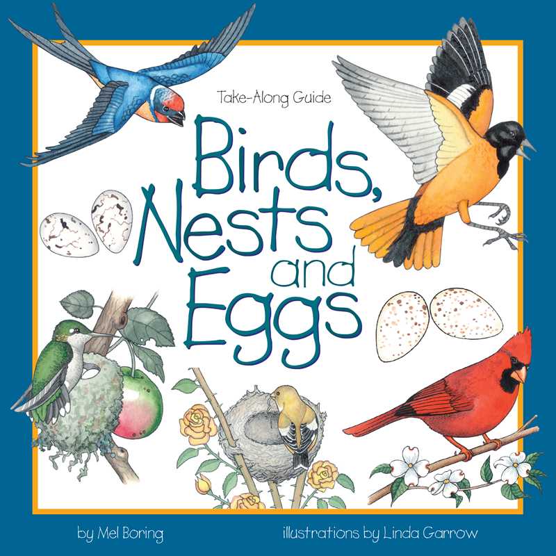 Birds, Nests & Eggs by Mel Boring