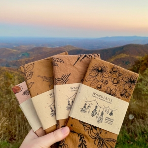 Bandana | Herbs of Protection | Hand Dyed | Terracotta