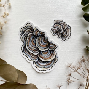 Turkey Tail Mushroom Sticker | Pair