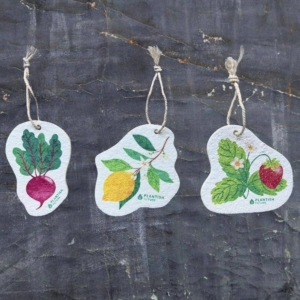 Set of 3 Farm to Kitchen Pop Up Sponges