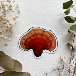 Reishi Mushroom Sticker